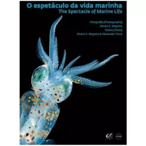 O espetáculo da vida marinha